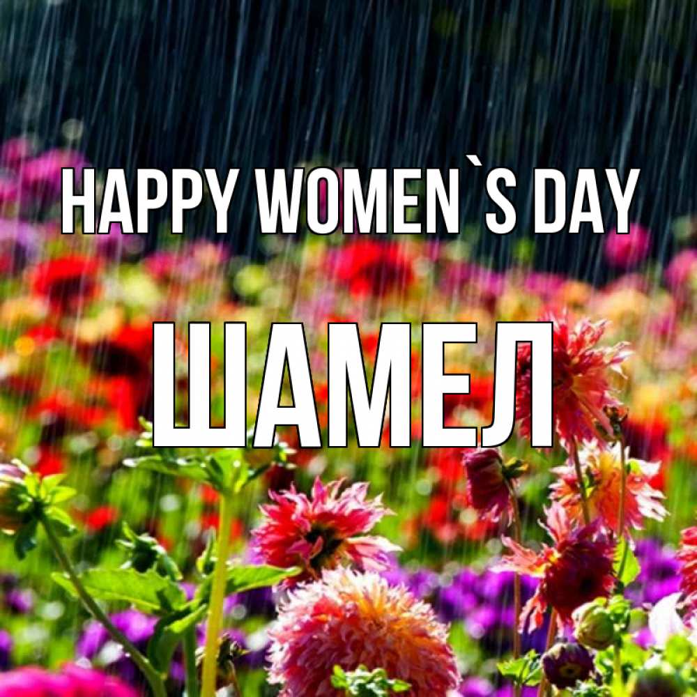 Greetings card с именем, ШАМЕЛ happy women`s day цветы под дождиком к международному женскому дню Greetings with text for free download 